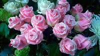 Nua Floral Designer, Antrim 1094310 Image 3